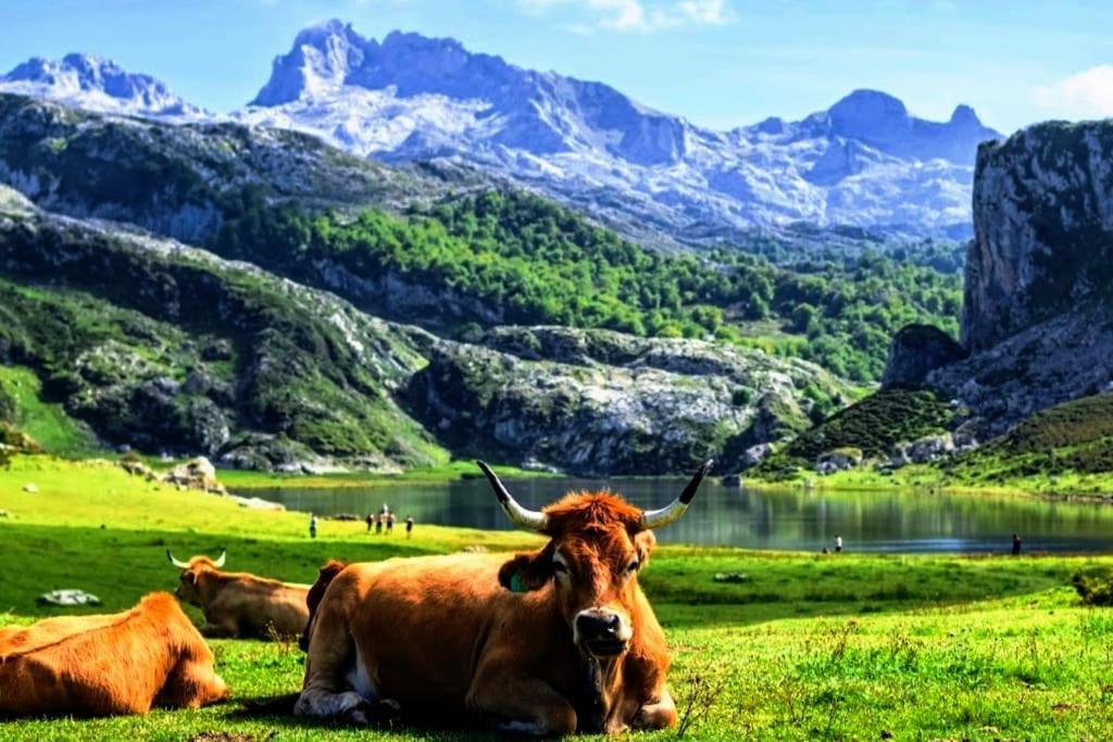 El Cuadro De Llanes Vibano